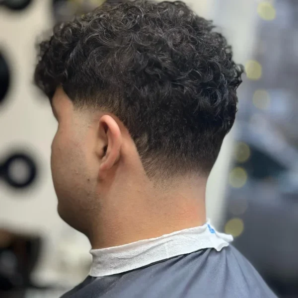 download (12) download (12)