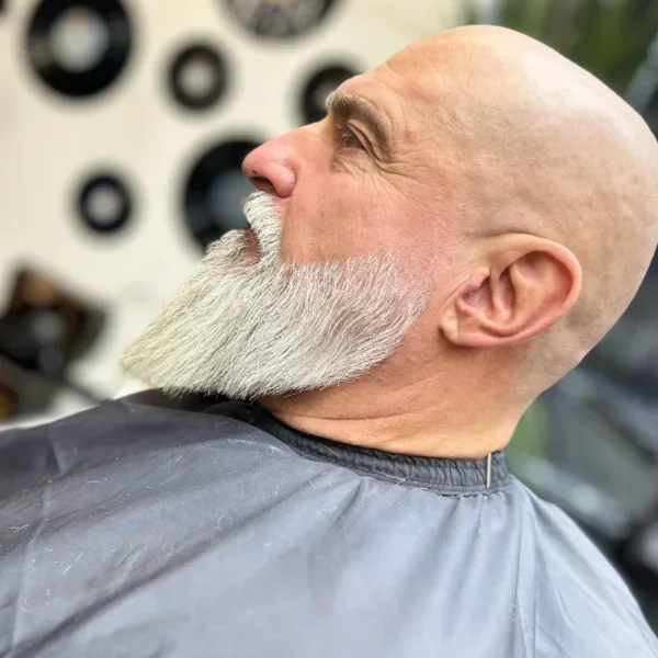 download (9) download (9)